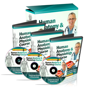 The #1 Human Anatomy and Physiology Course